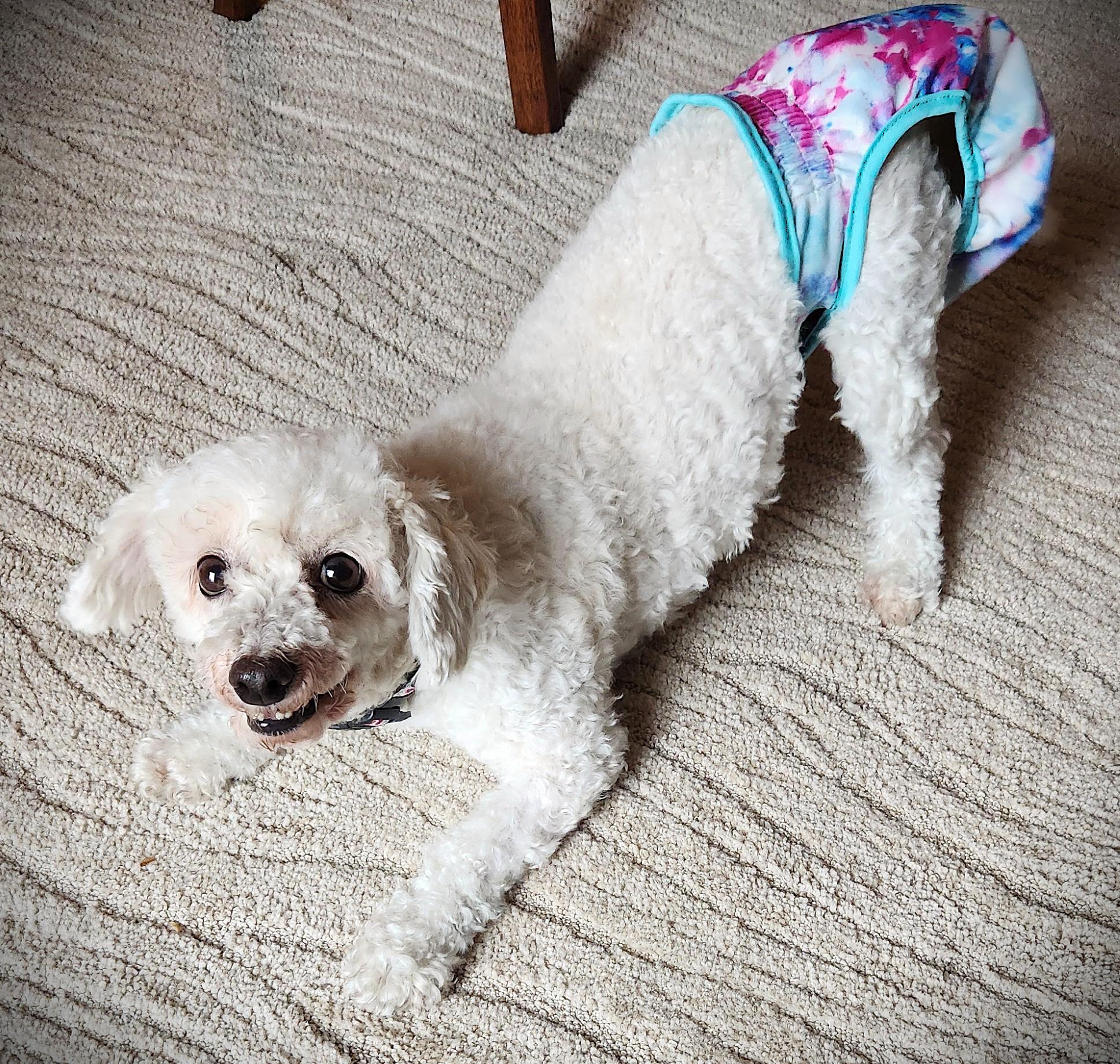 Jellybean thumbnail 2