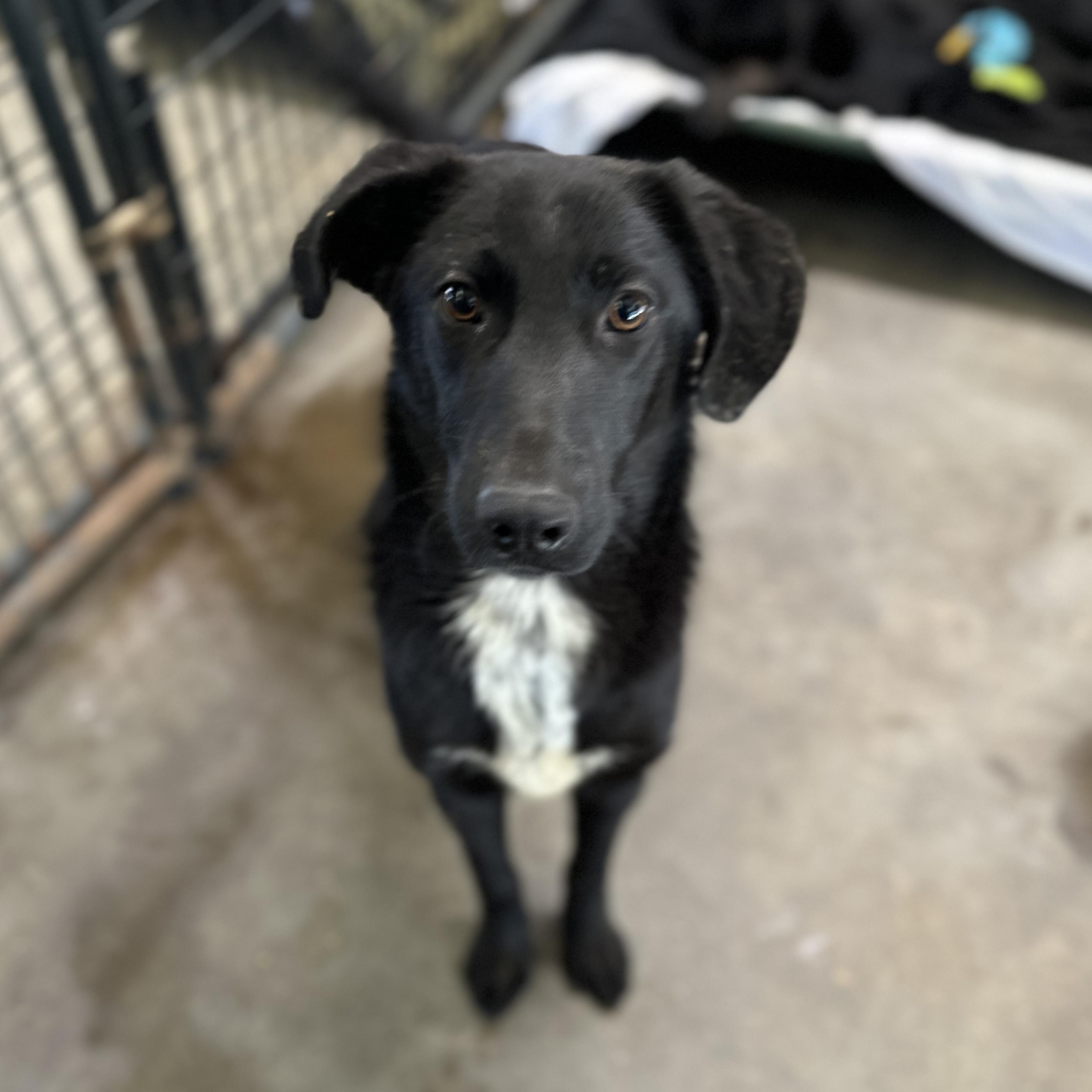 Cole — thumbnail 3