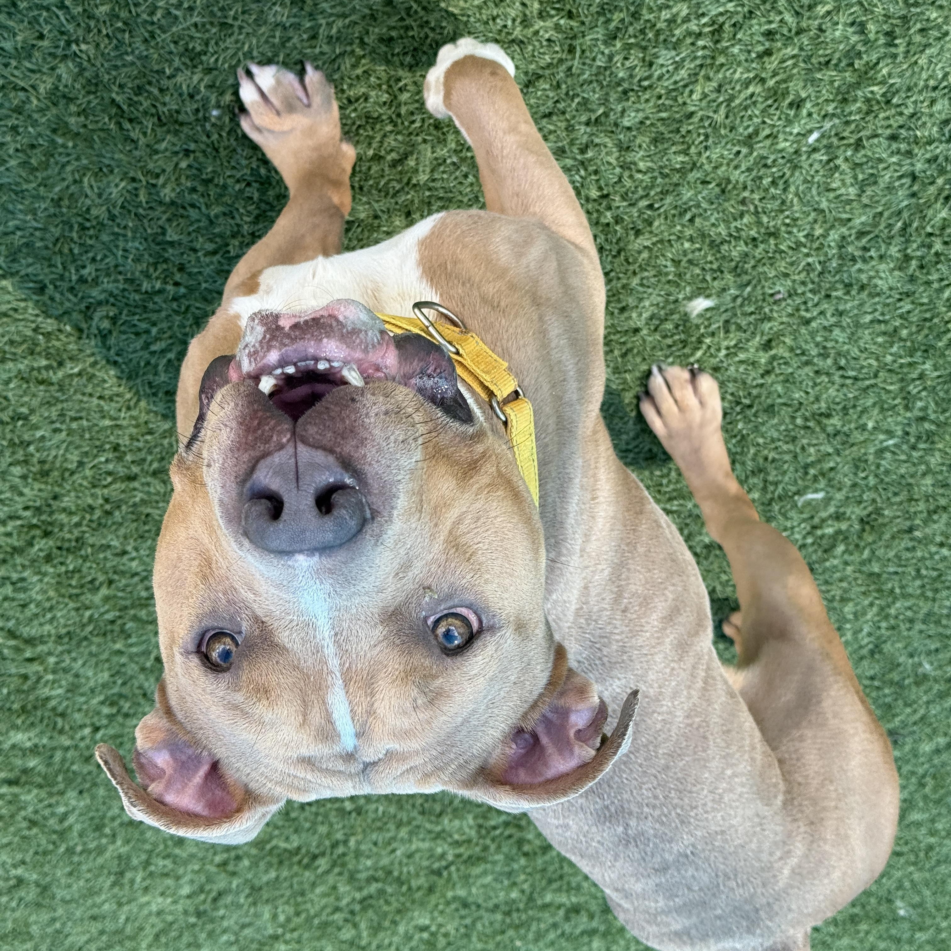 Lenny photo 2