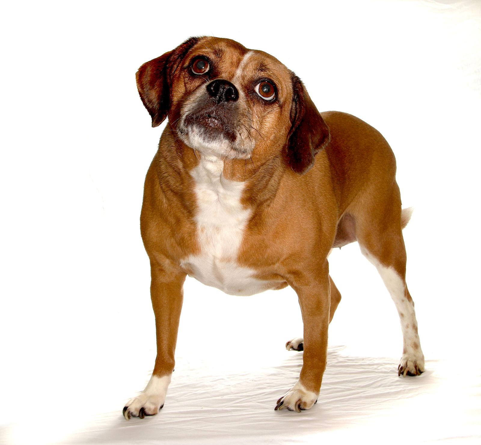 Lucy Lou thumbnail 2