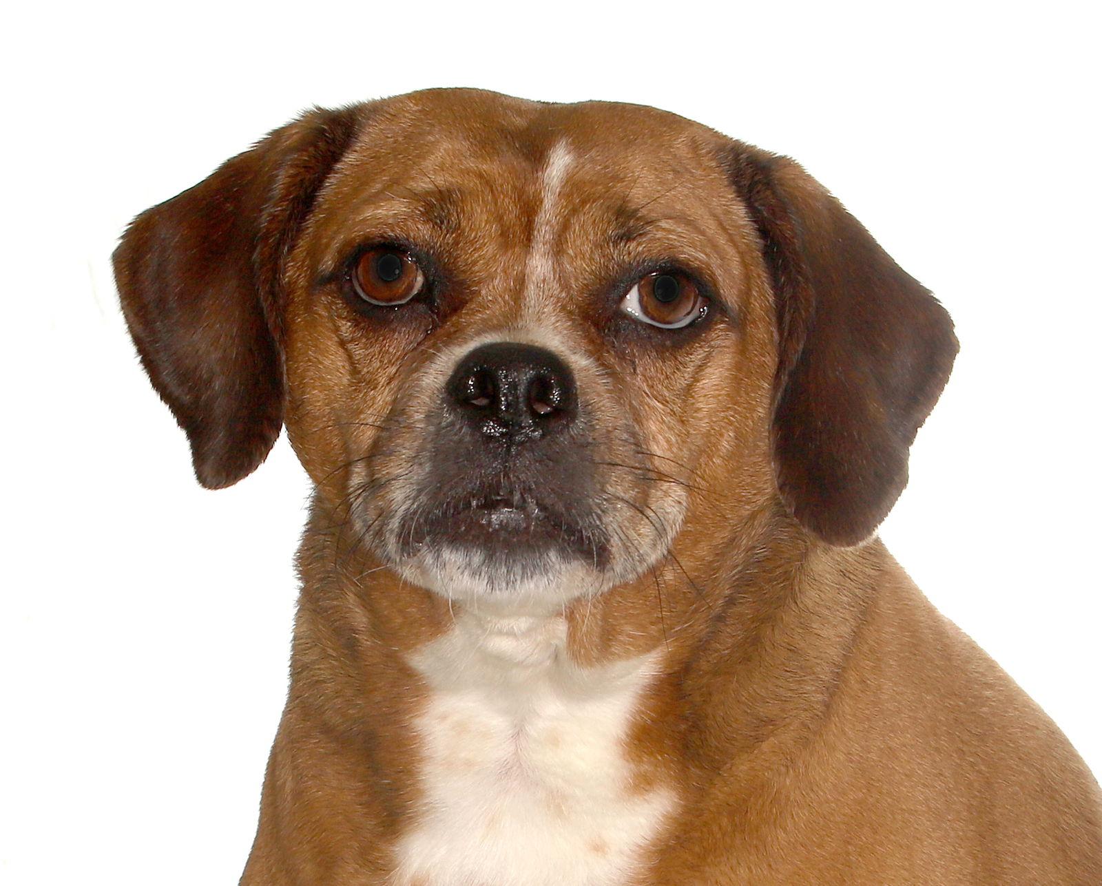 Lucy Lou thumbnail 3