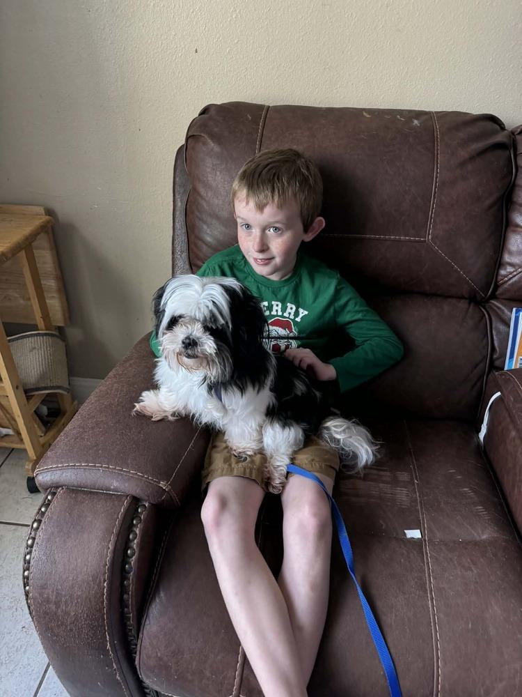 Enlarge Jasmine, a Adoptable mixed breed in Deltona, FL image 2/6