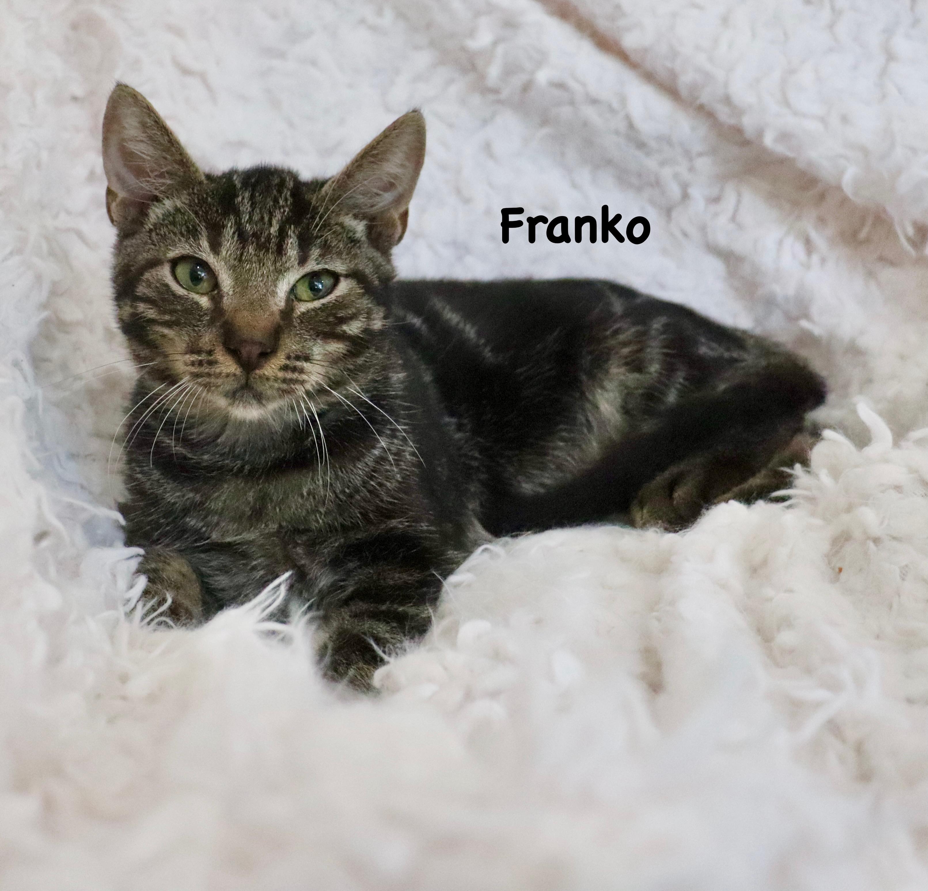 Franko