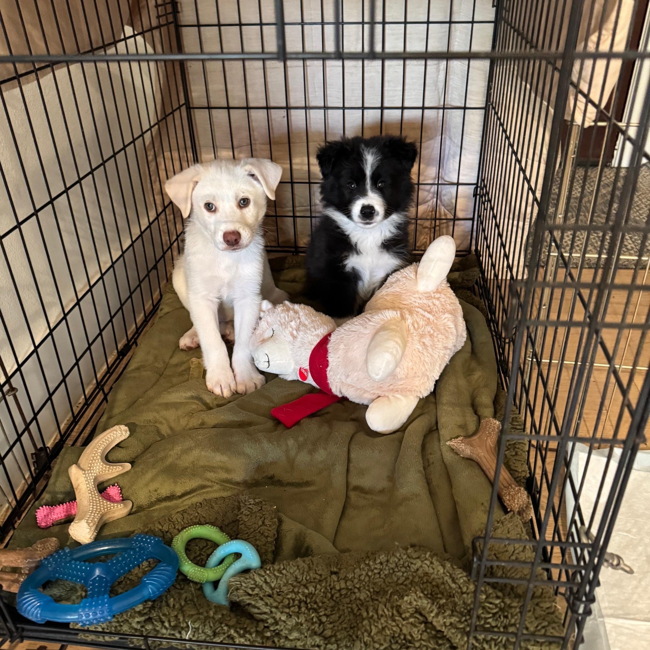 Socks And Marshmallow thumbnail 2