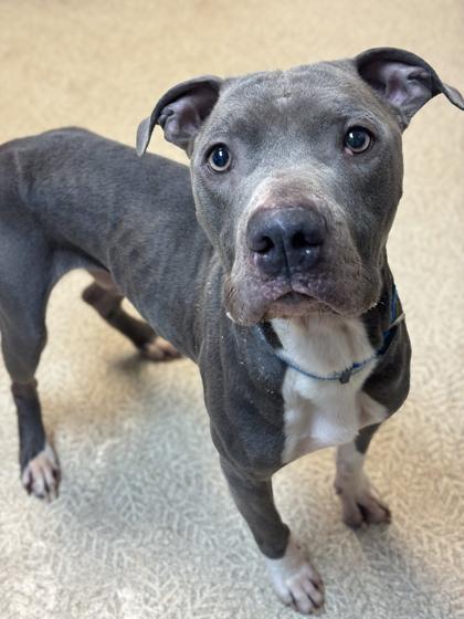 Peter — thumbnail 2