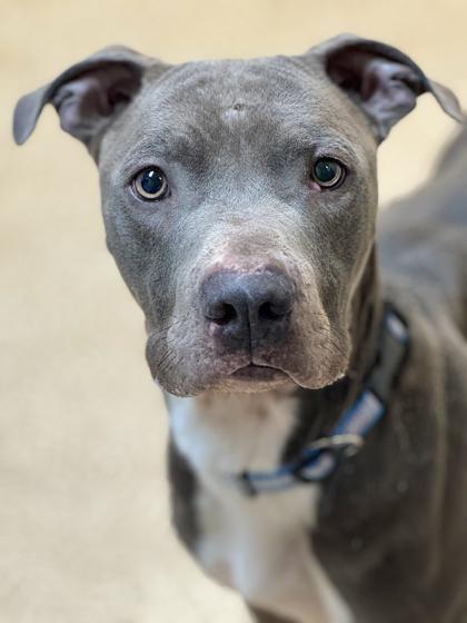 Peter — thumbnail 3