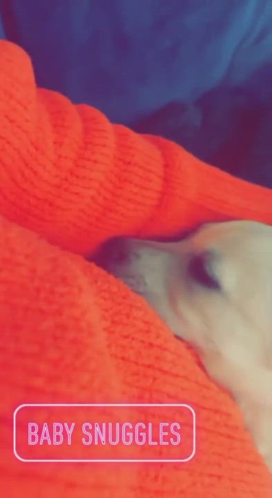 Enlarge Bubbles, a Adopted mixed breed in Commerce City, CO video 6/11