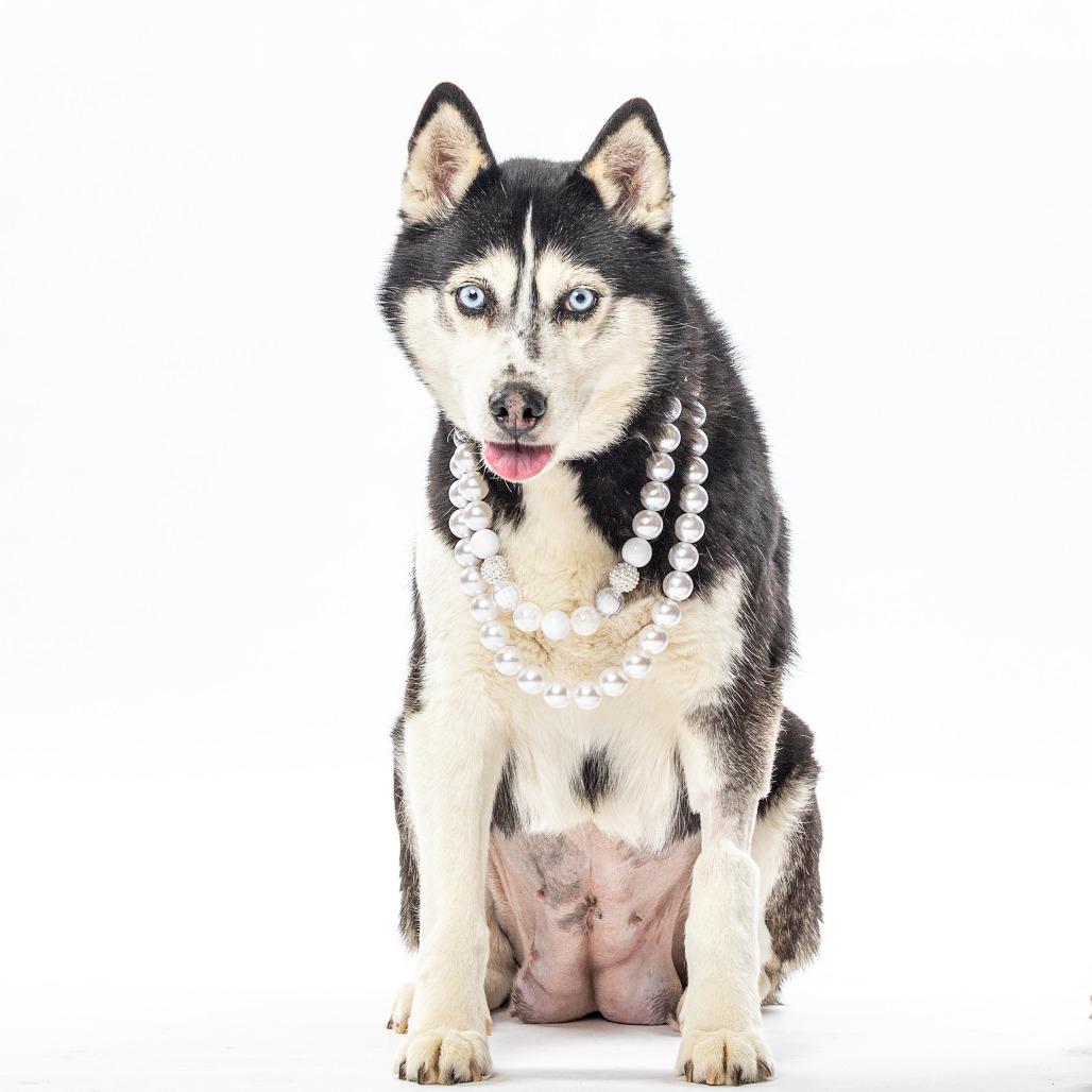 Angel's Envy — thumbnail 4