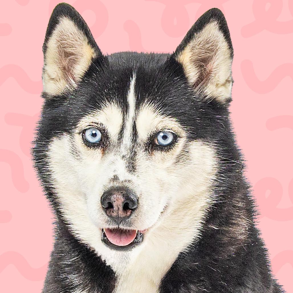 Angel's Envy — thumbnail 5