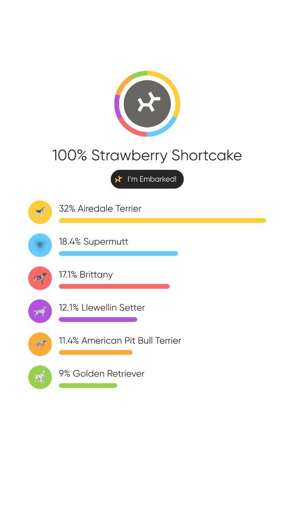 Cake Litter Strawberry Shortcake