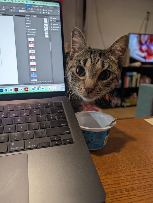 Papi Chulo — thumbnail 4