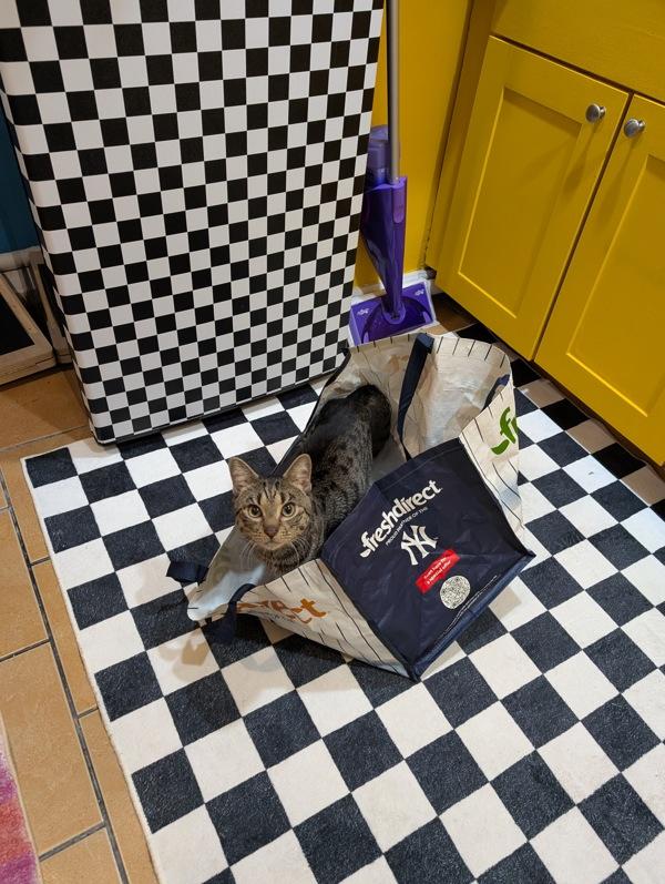 Papi Chulo — thumbnail 5