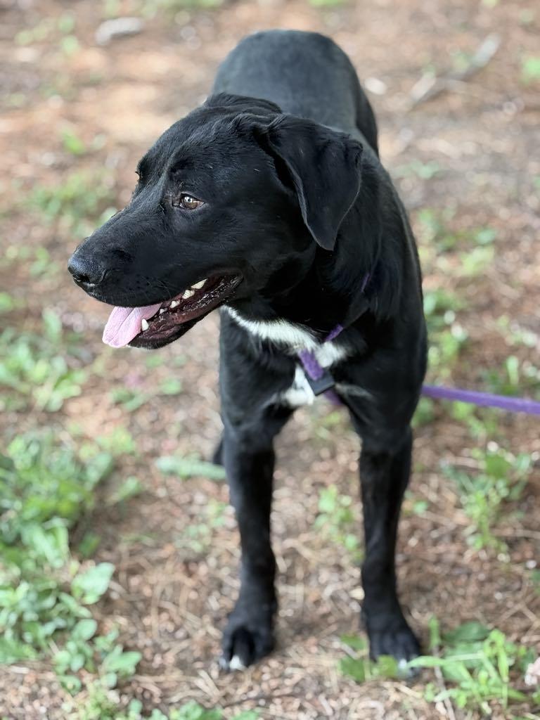 Arthur (in a FOSTER home) 4
