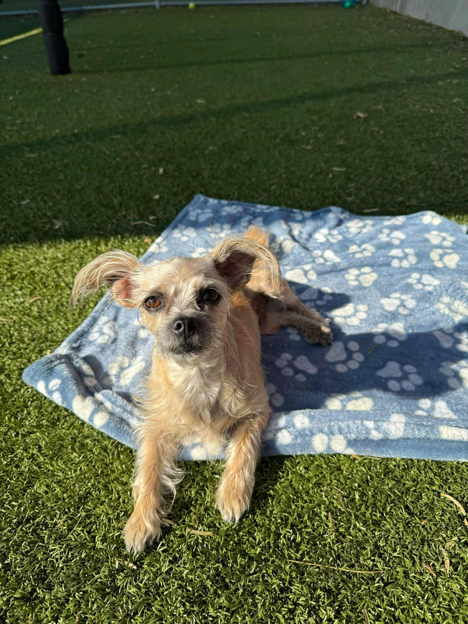 Sparkles thumbnail 2