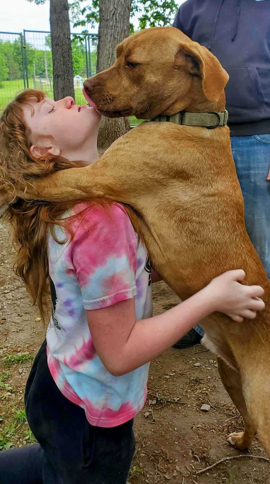 Weldon , a Adoptable Mixed Breed in Argyle, NY image 5/6