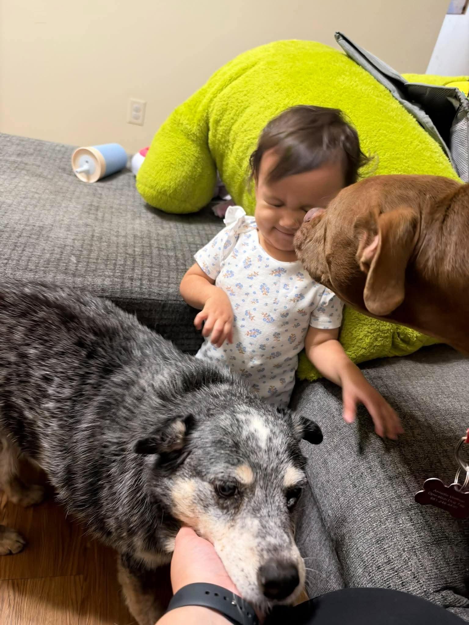 Millie & Lulu photo