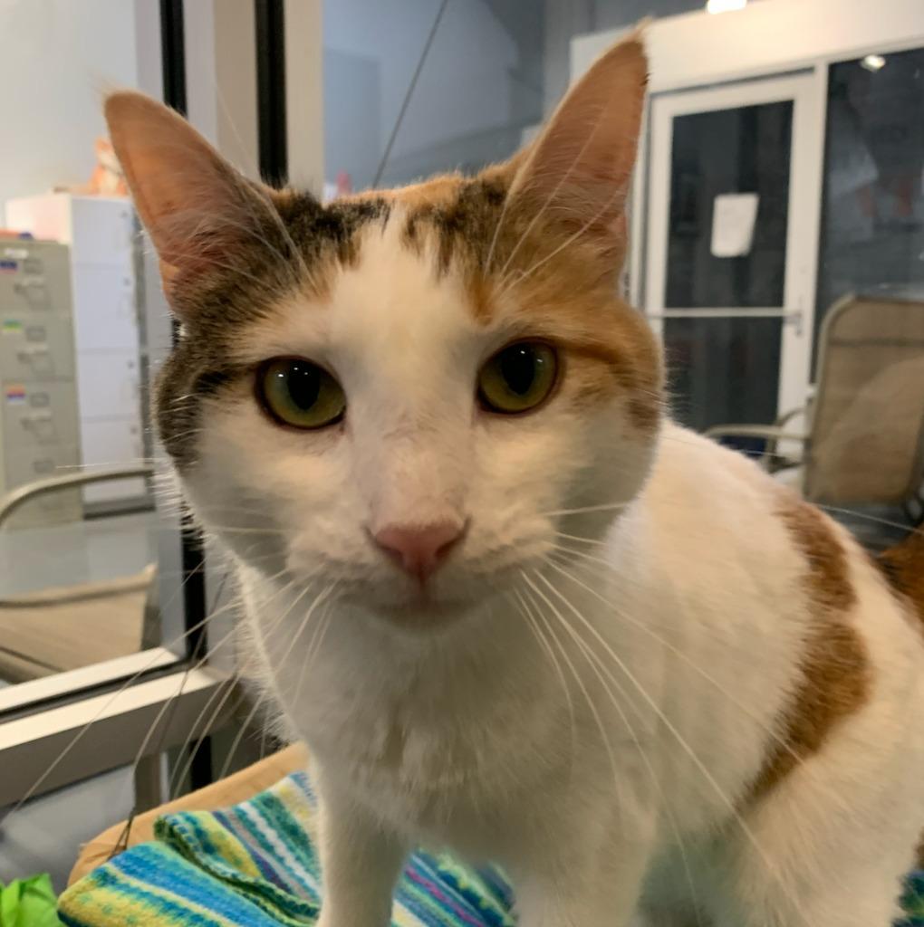 Julia — thumbnail 2