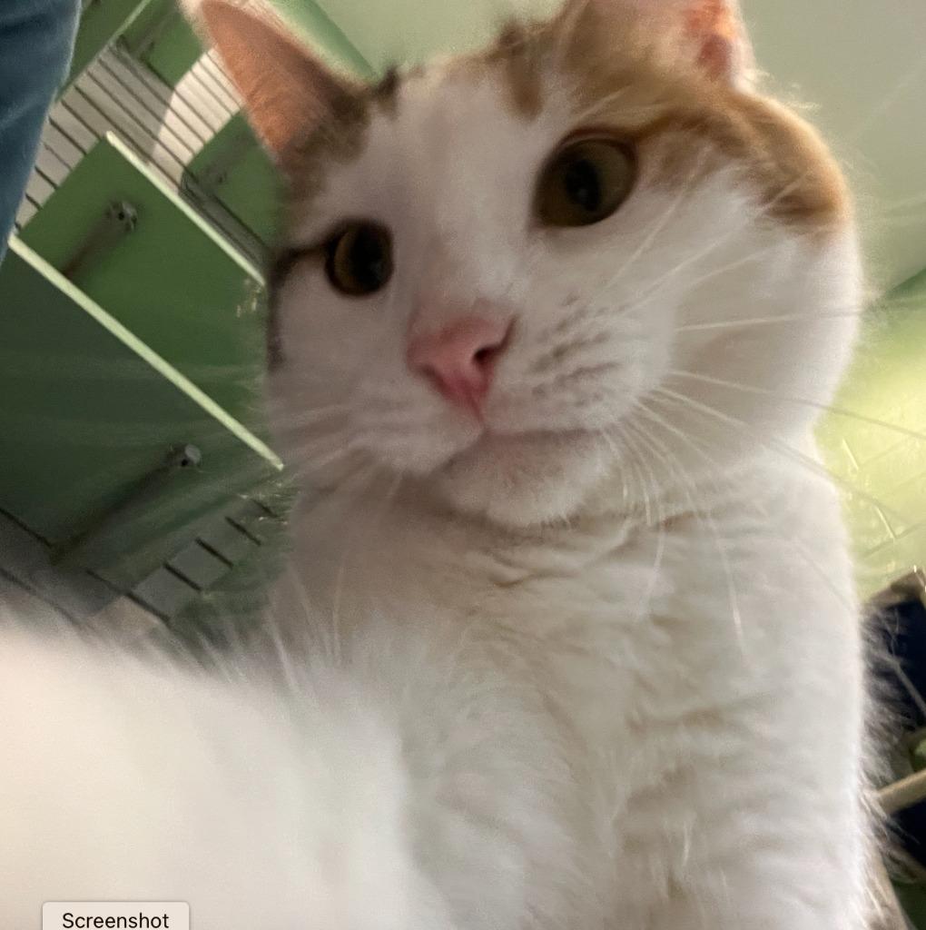 Julia — thumbnail 3