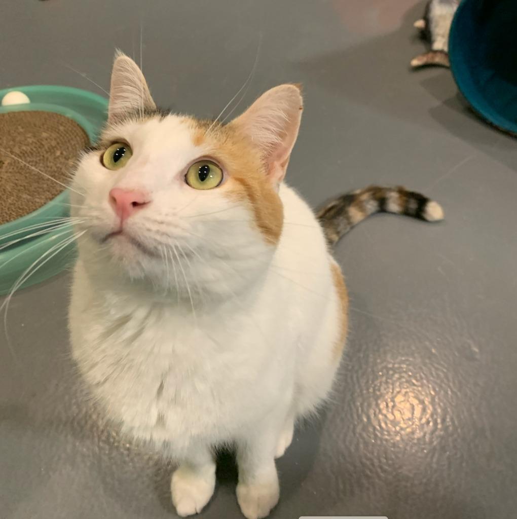 Julia — thumbnail 4