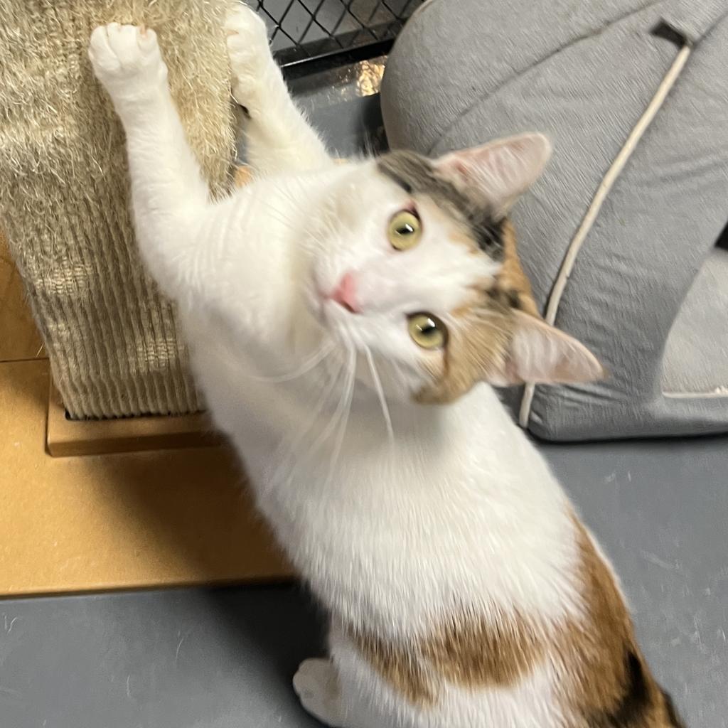 Julia — thumbnail 5