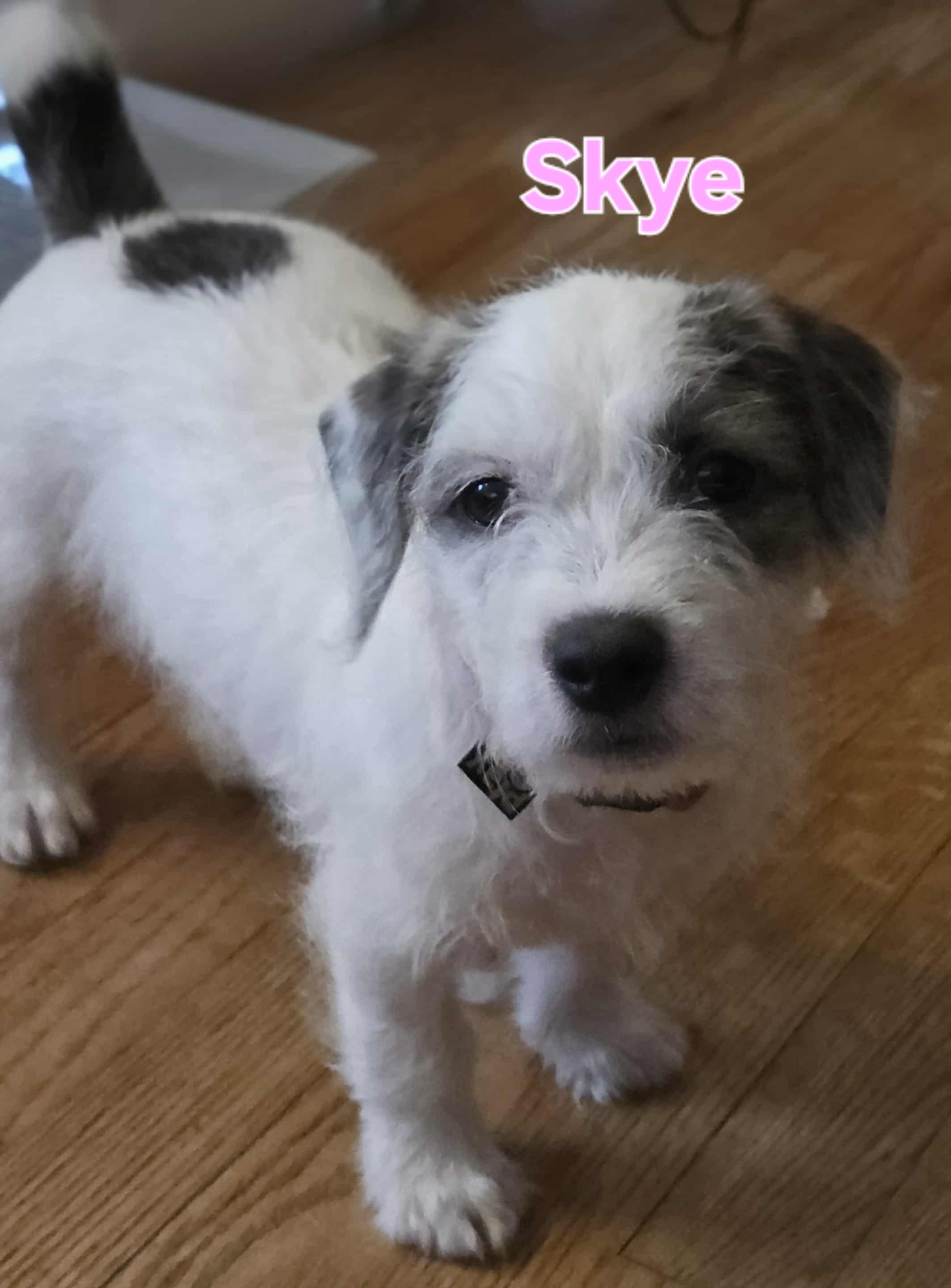 Skye