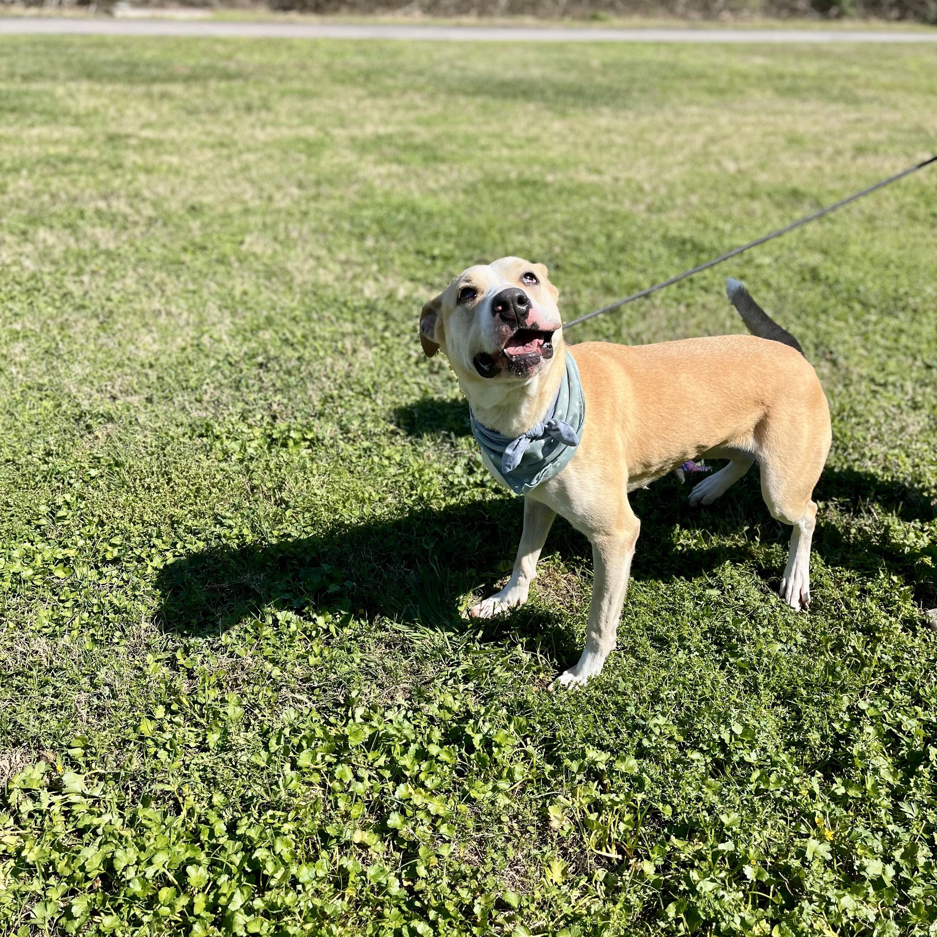 Marina — thumbnail 5