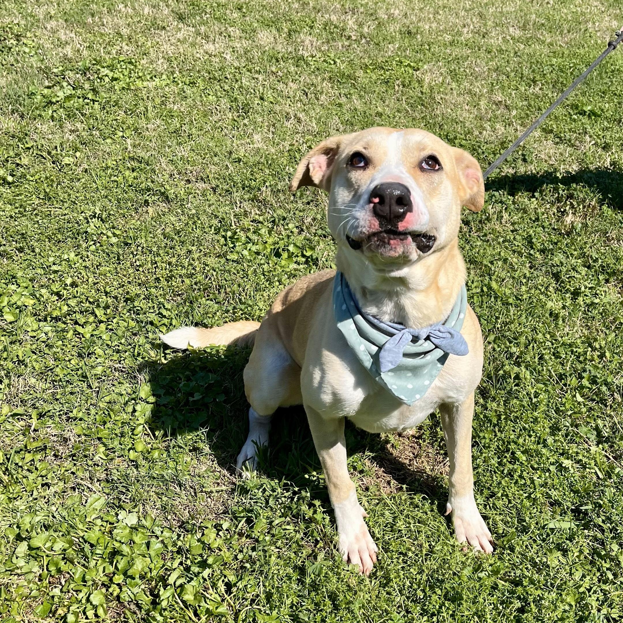 Marina — thumbnail 6