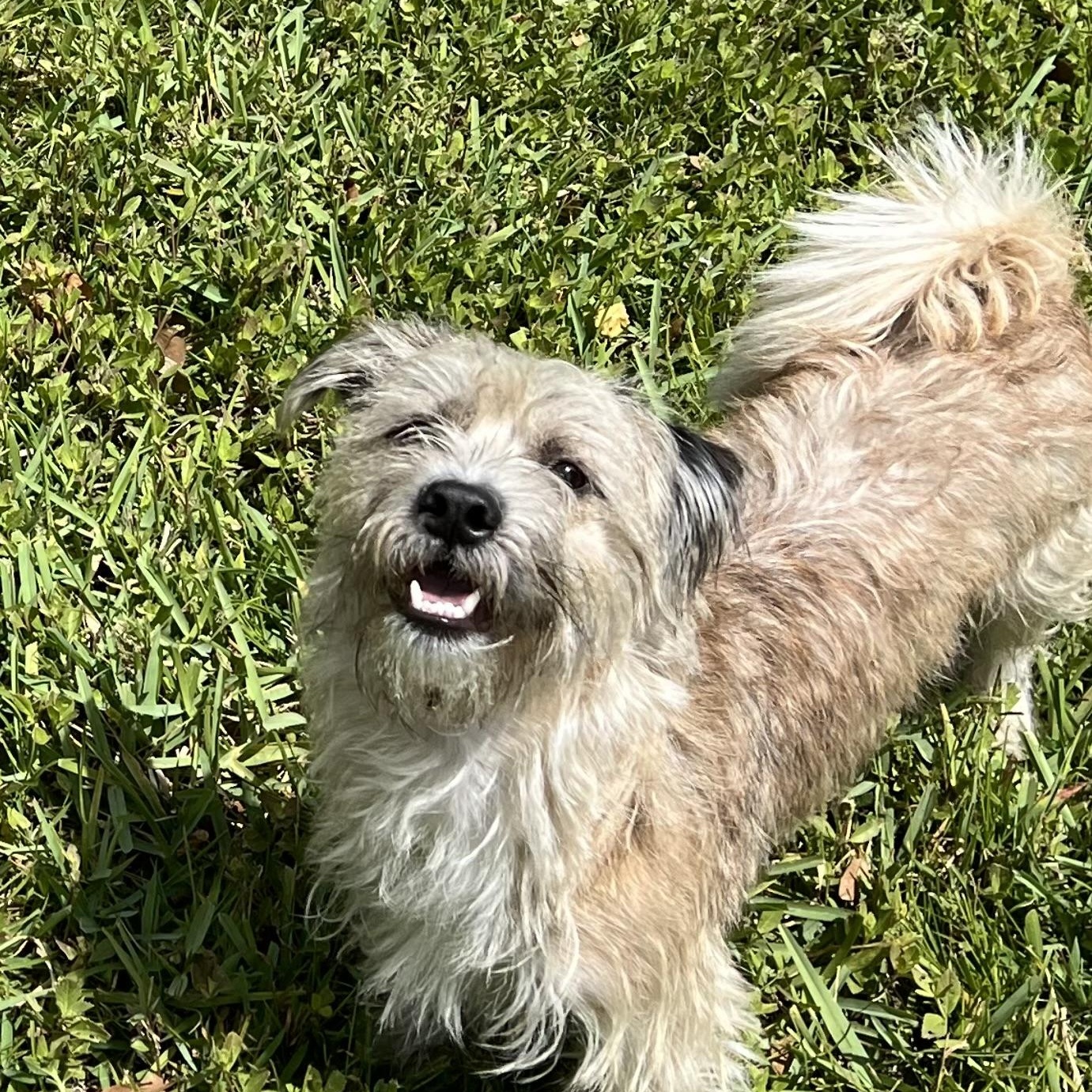 Frankie