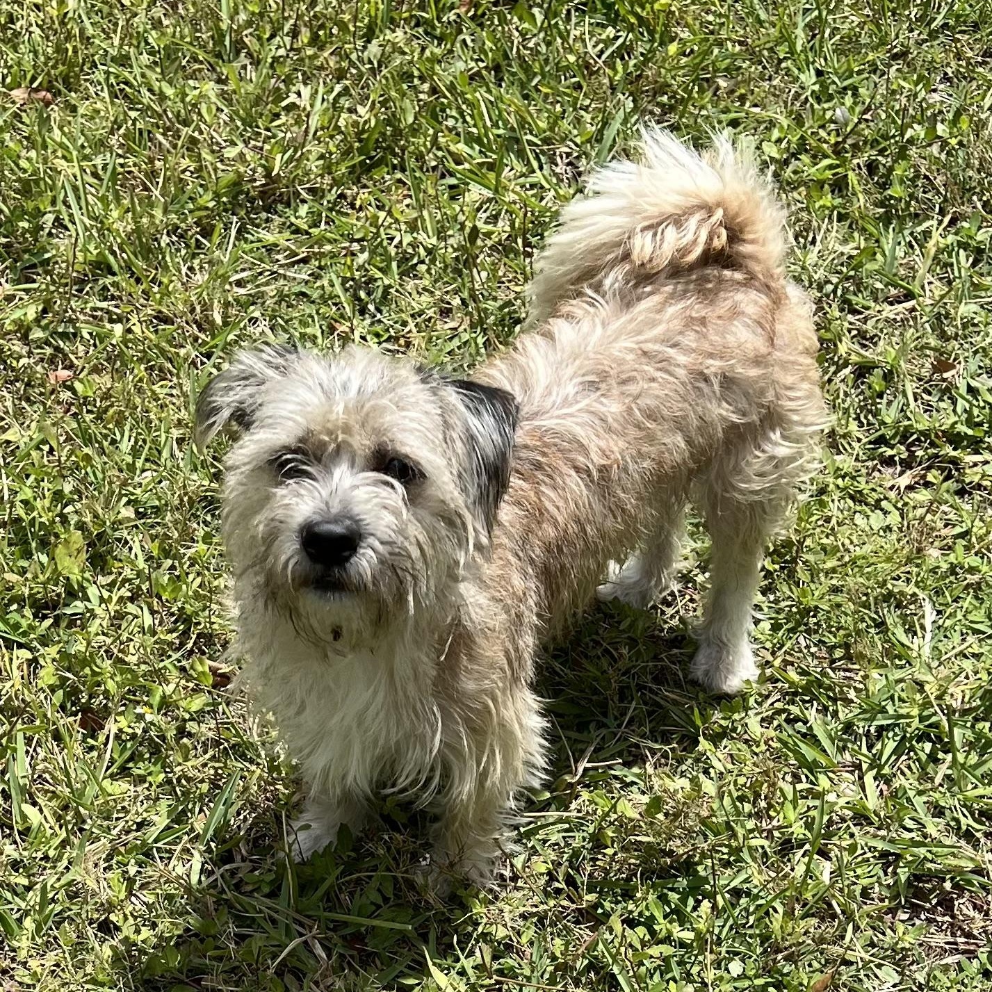 Frankie