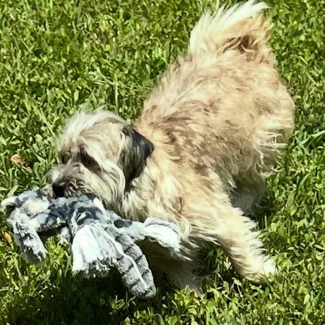 Frankie