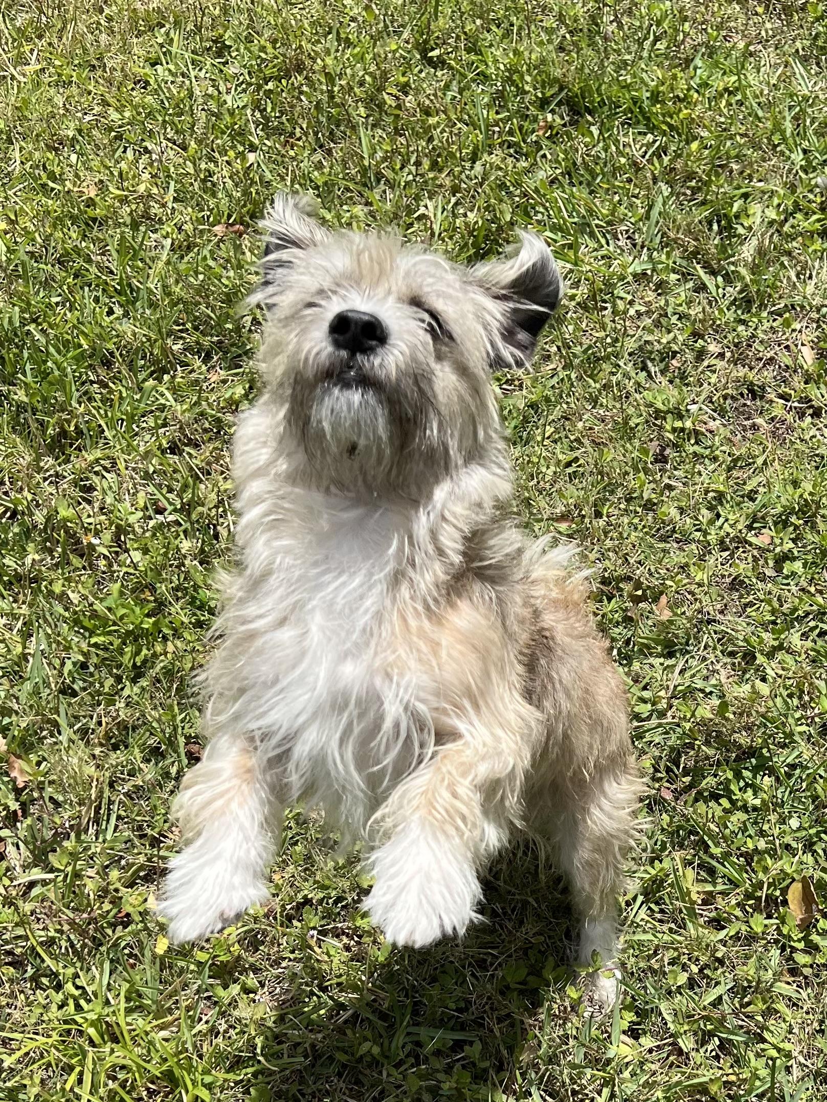 Frankie
