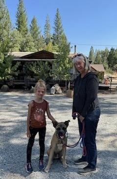 BOSCO*Farm and Family Friendly, a Adopted mixed breed in Grass Valley, CA image 2/6