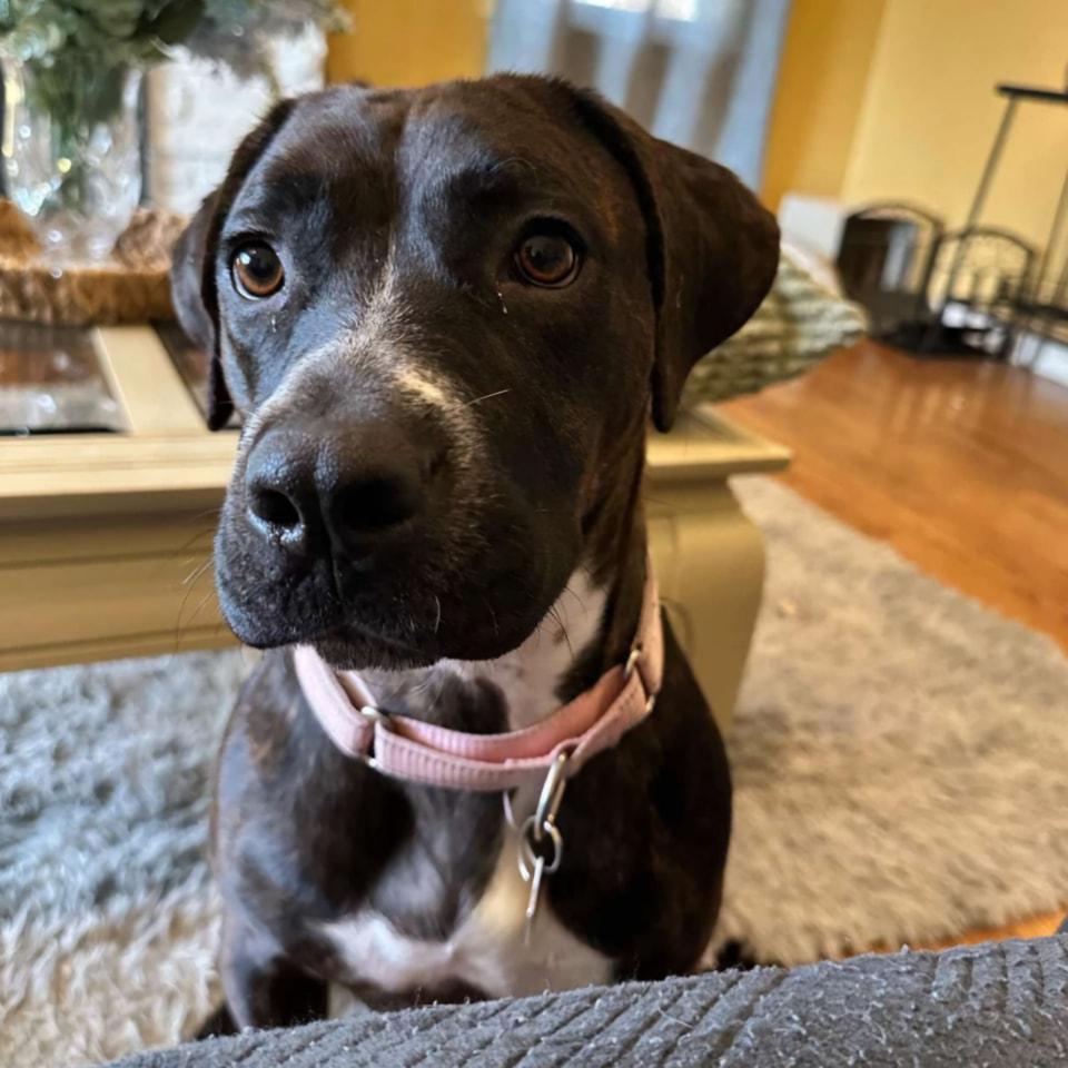 Maya photo 1