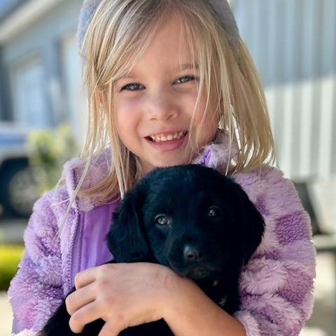 Enlarge Trenton (5/13), an adopted mixed breed in Watertown, CT image 2/6