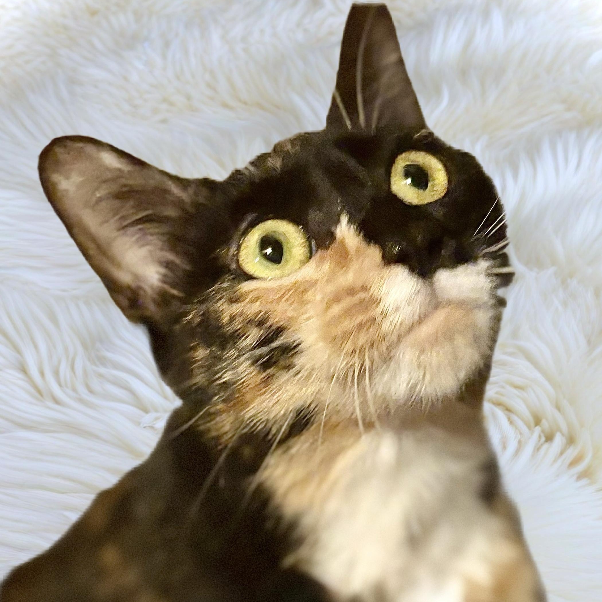 Nina