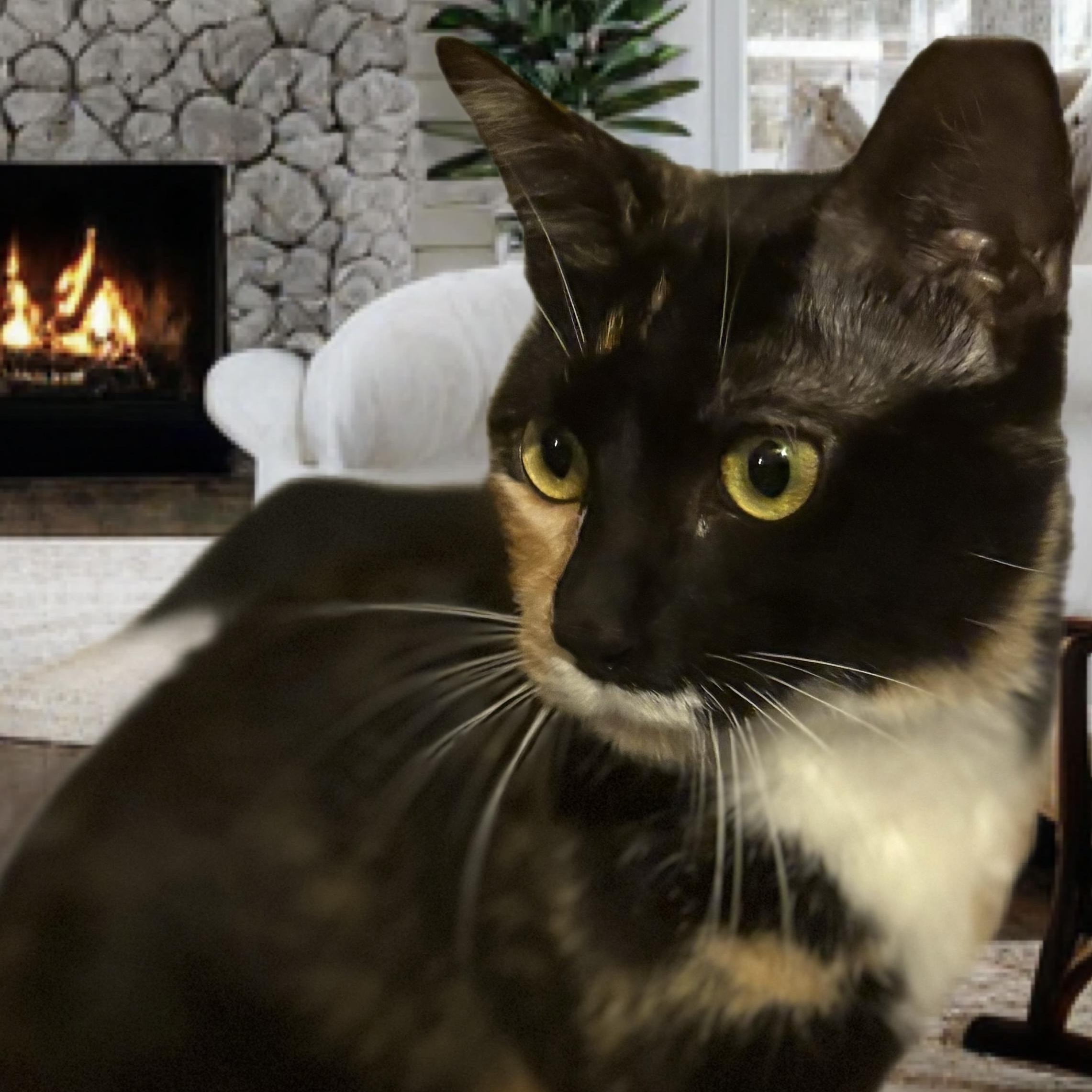 Nina