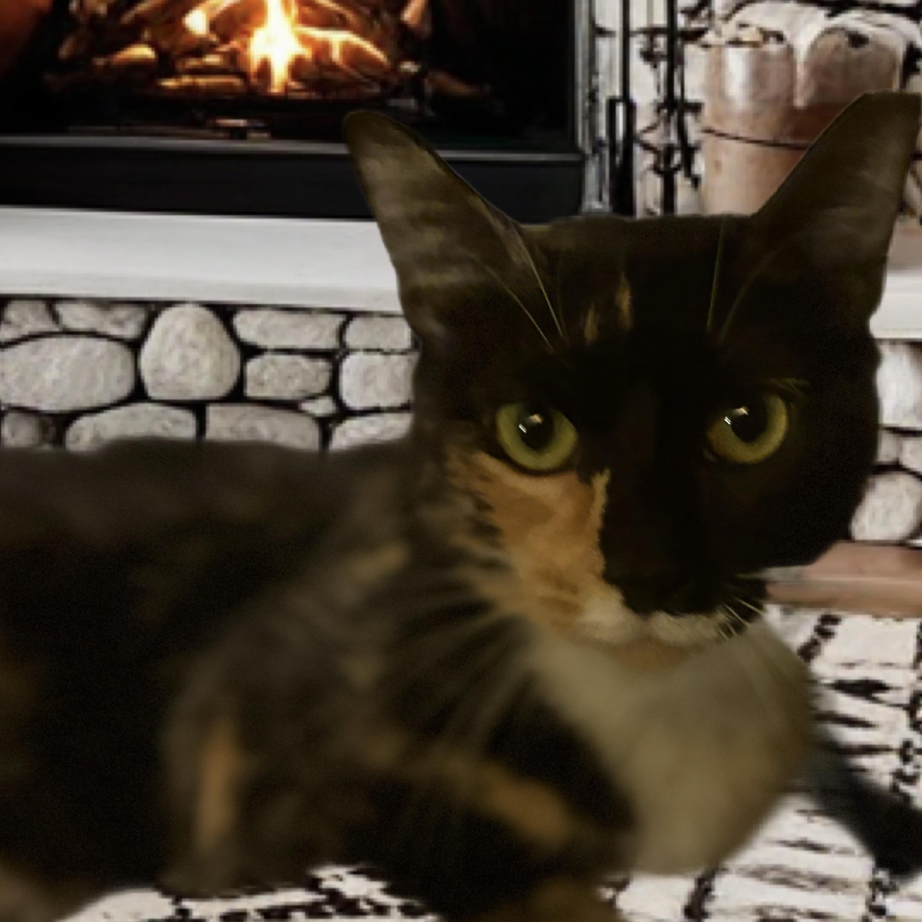 Nina