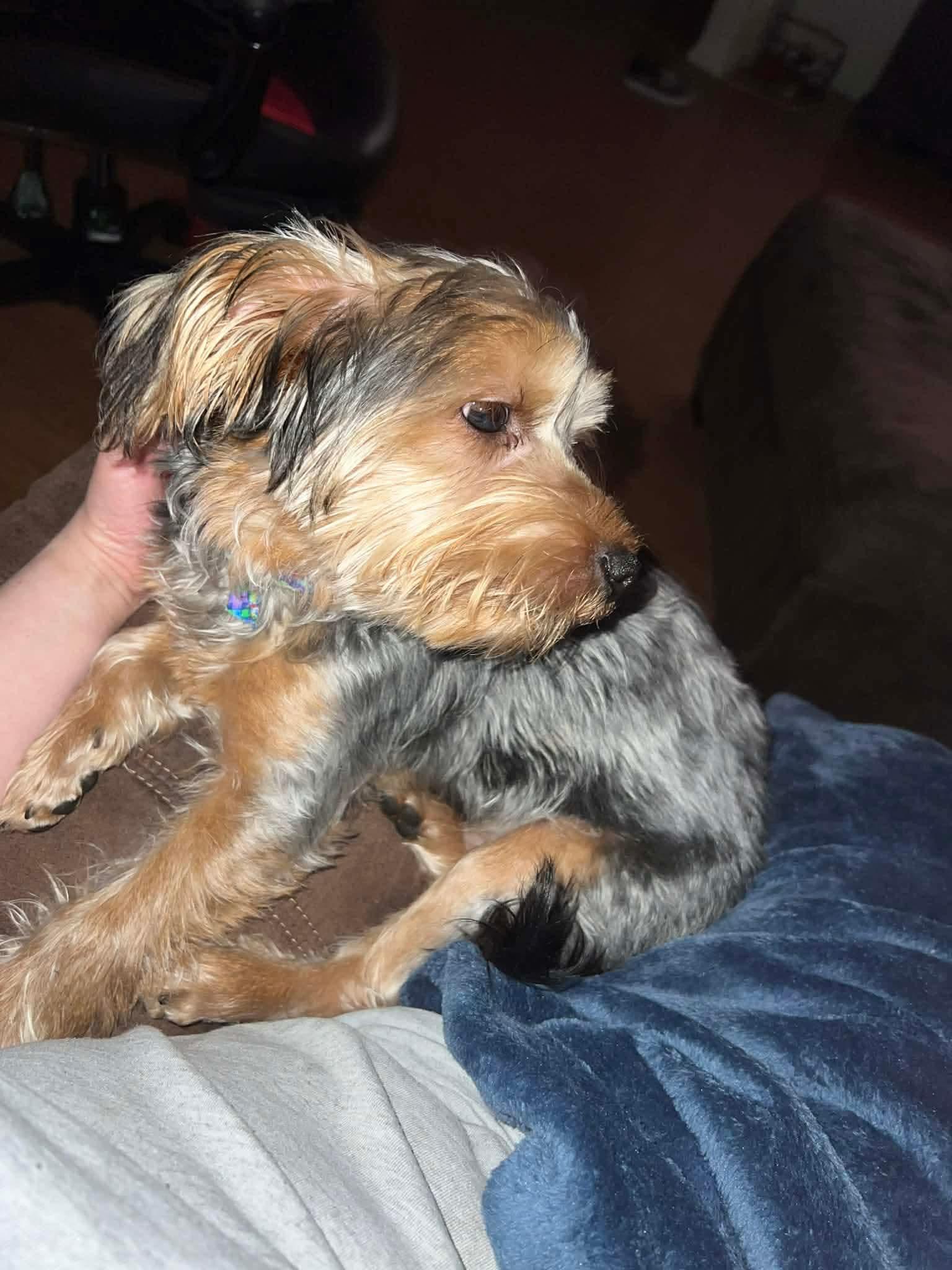 Smalls — thumbnail 5