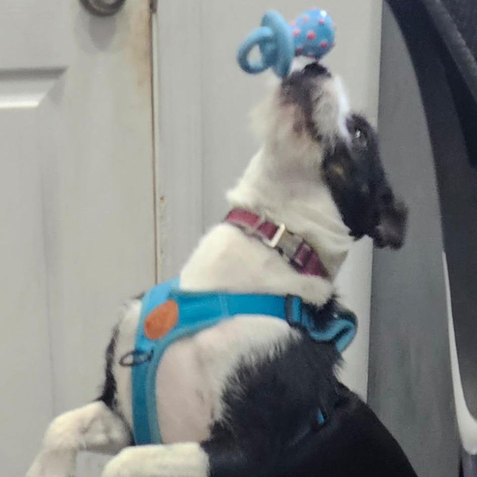 Fran — thumbnail 3