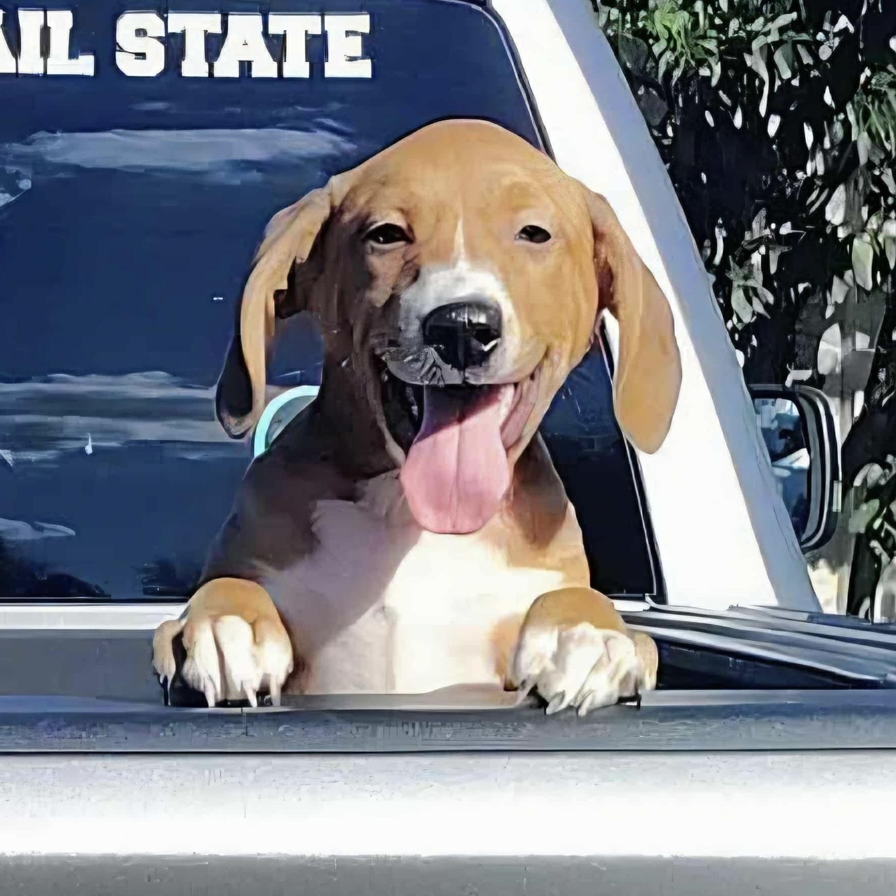 Chance (20250821-03)