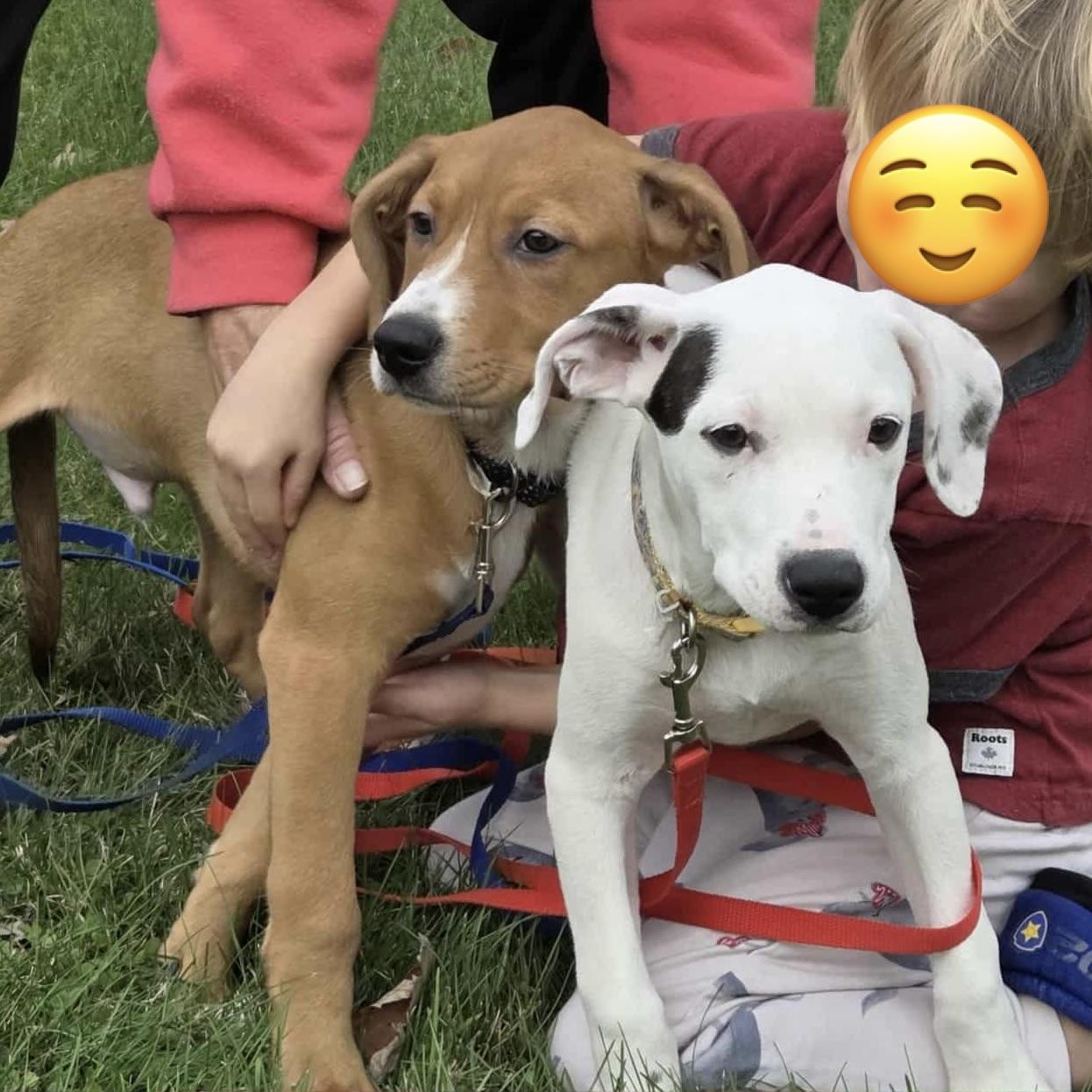 Chance (20250821-03)