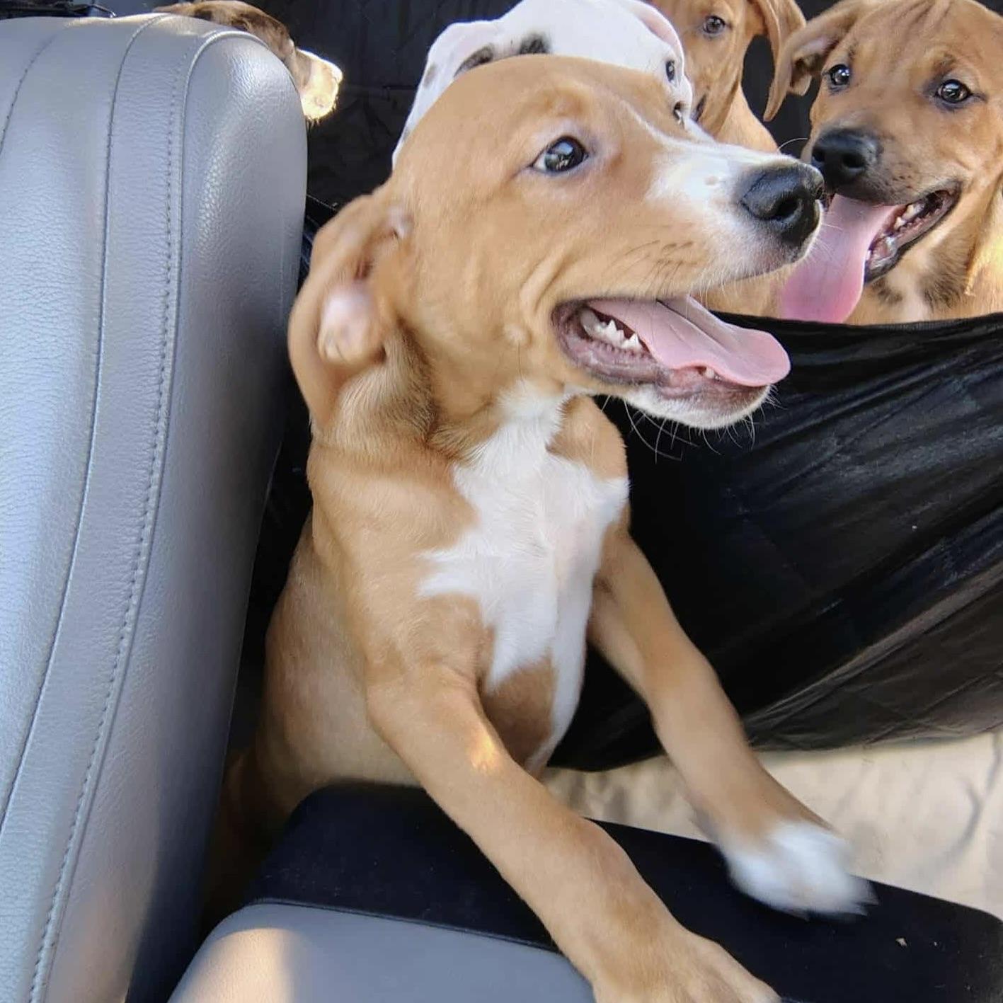 Chance (20250821-03)