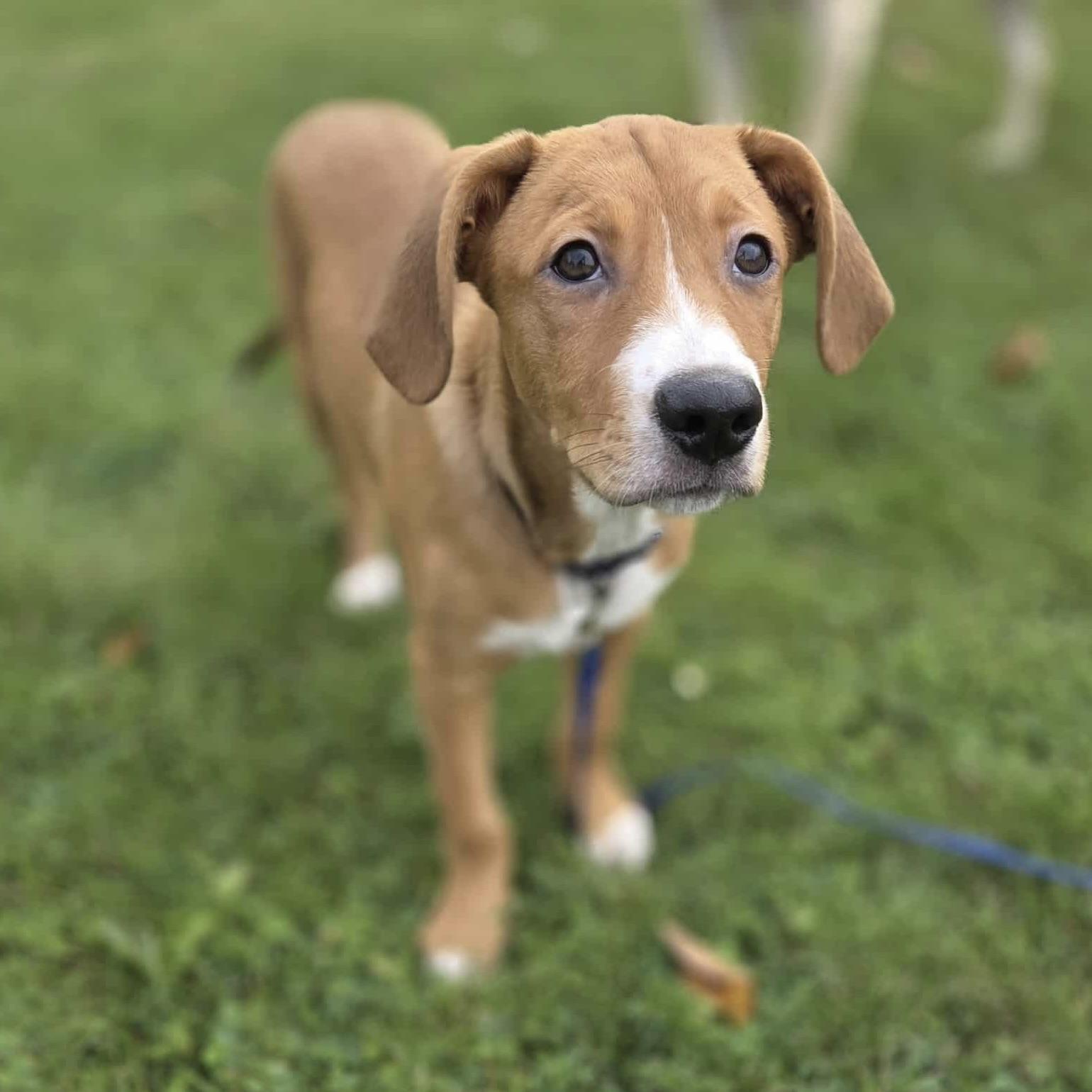 Chance (20250821-03)