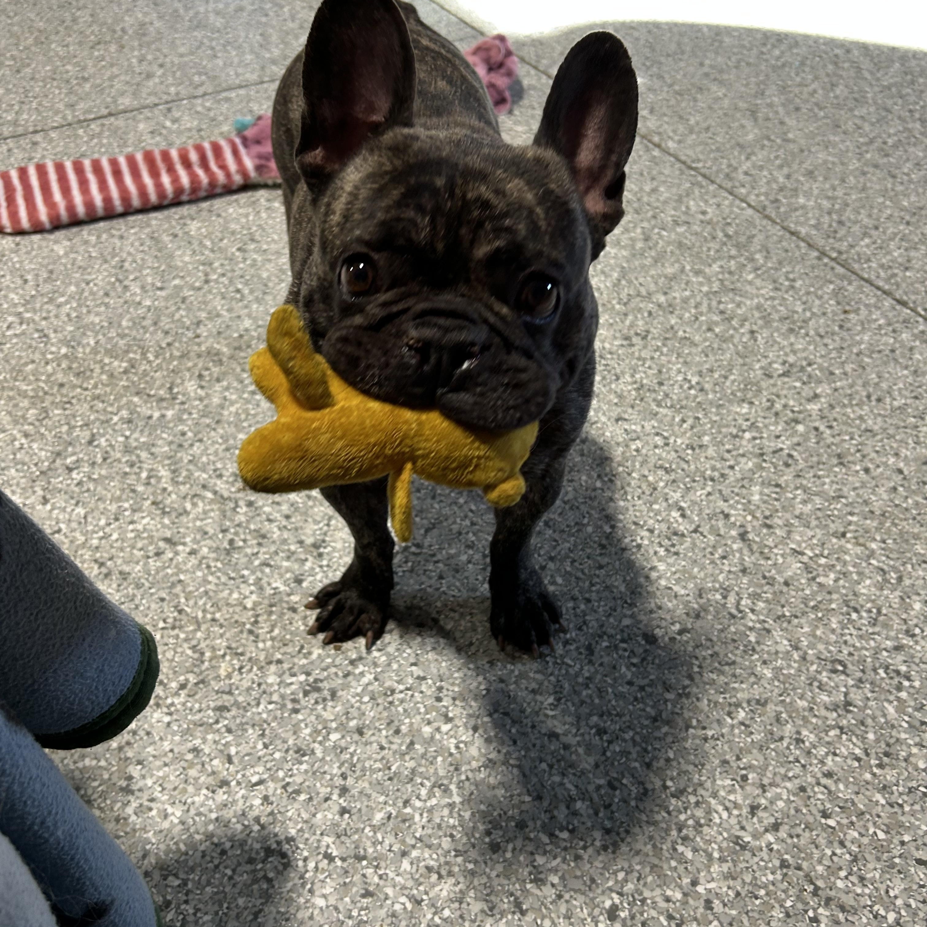 Summer Sausage Super Nice thumbnail 3