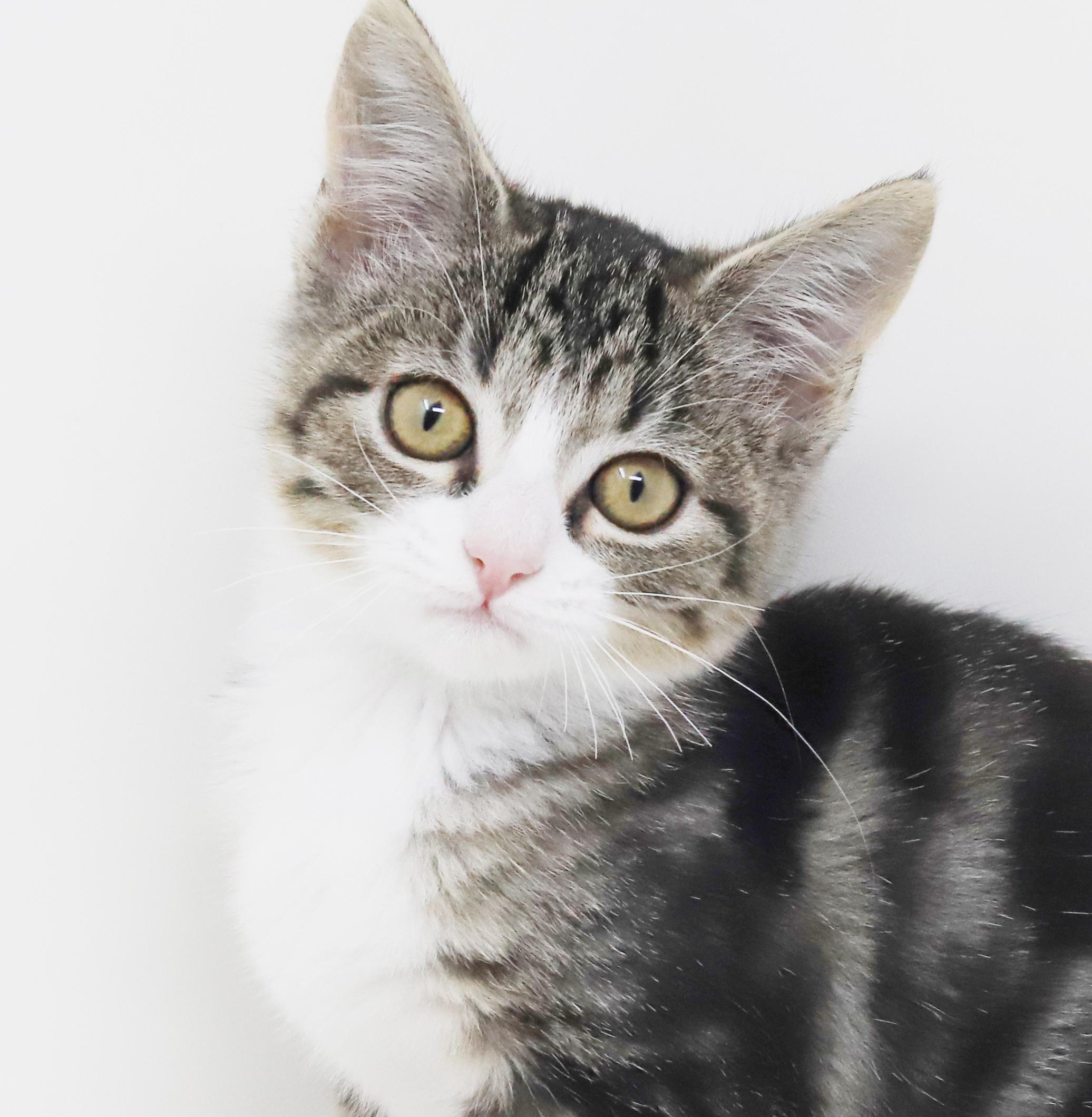 Lil' Bean is so darn sweet and a perfect TINY angel!  SO CUTE!