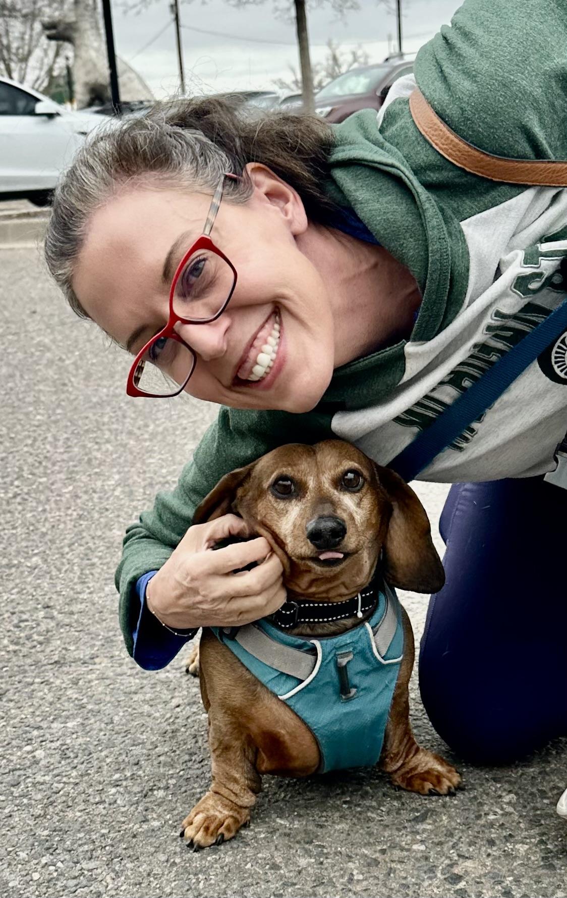 Enlarge Jaxon in Colorado, a ADOPTABLE Dachshund in Boulder, CO image 6/6