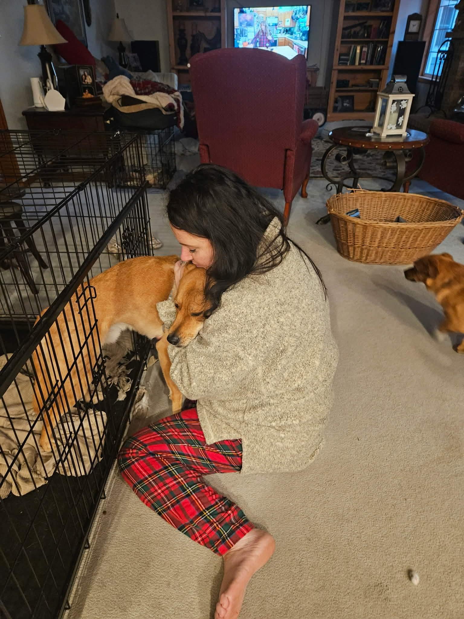 Enlarge Arthur, a Adoptable Mixed Breed in Puyallup, WA image 3/6