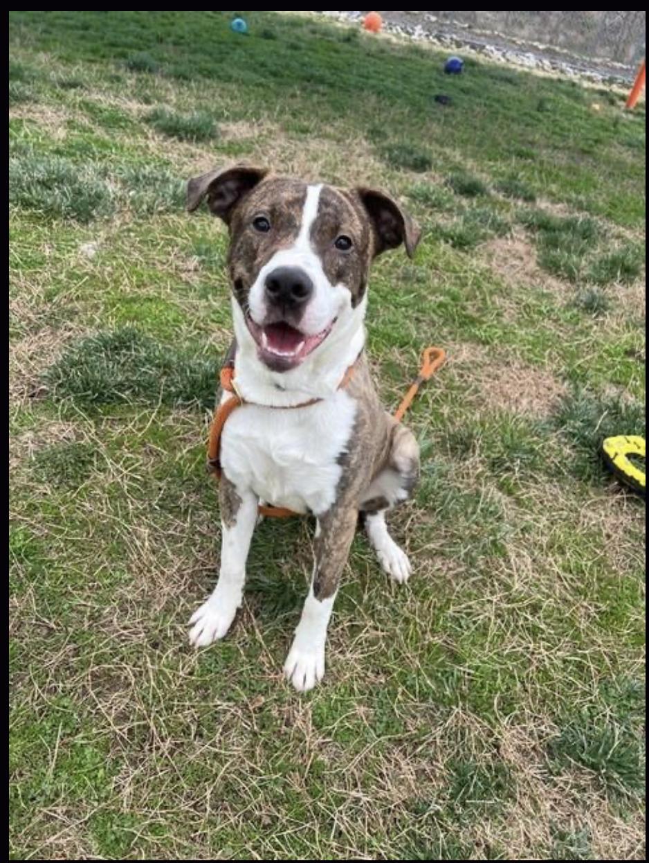 California thumbnail 3