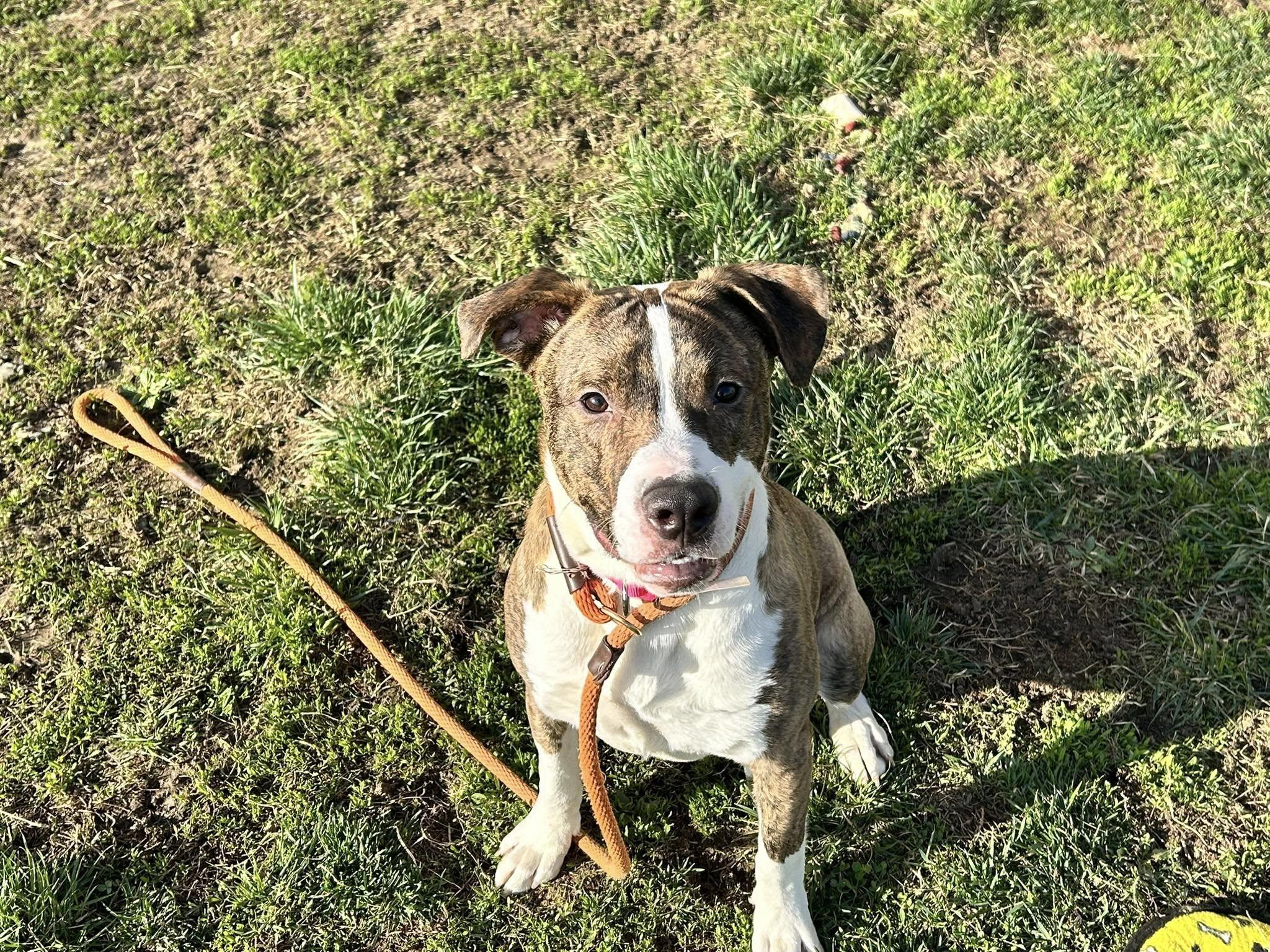 California thumbnail 2