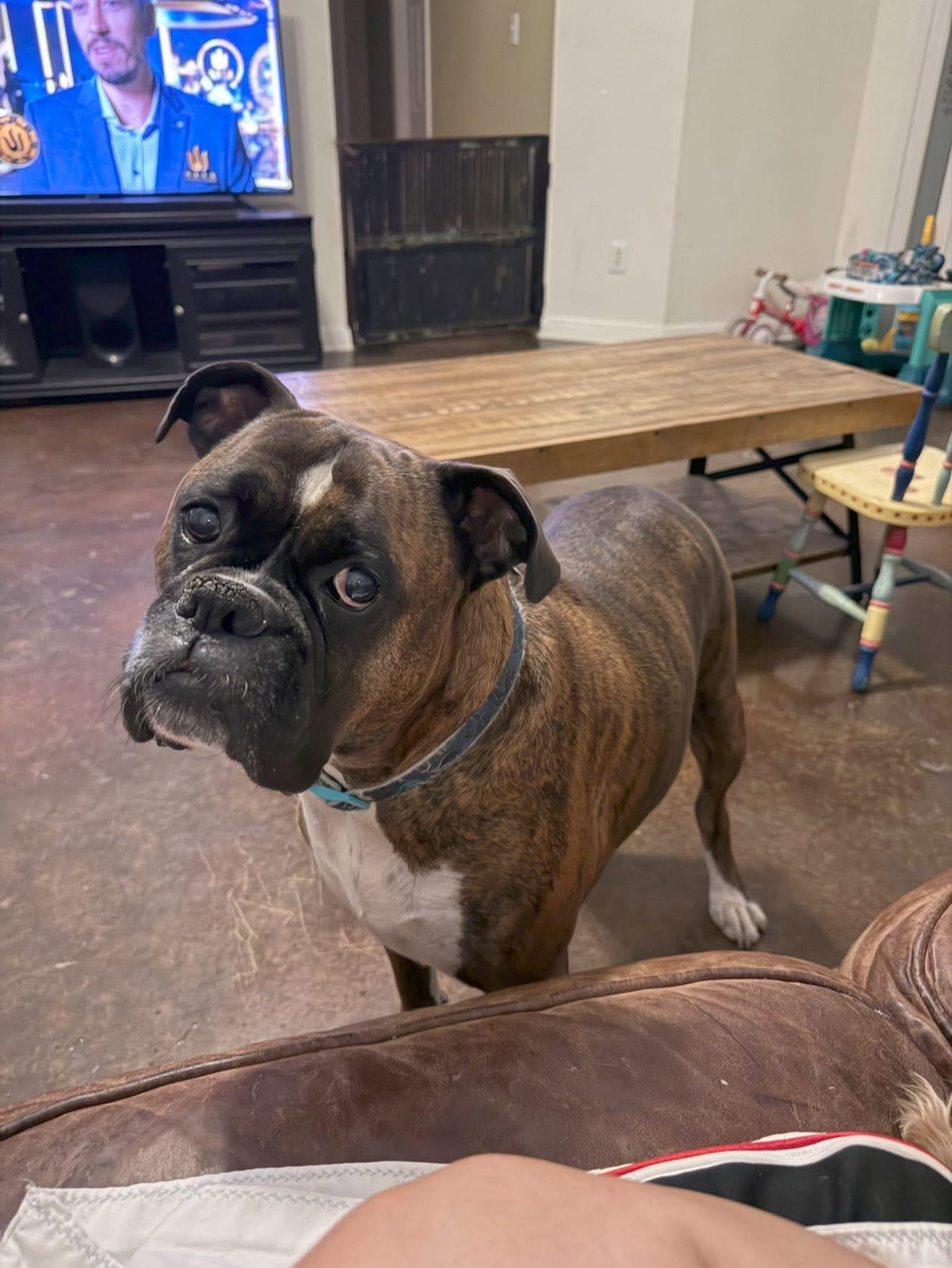 Bailey